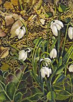 snowdrops